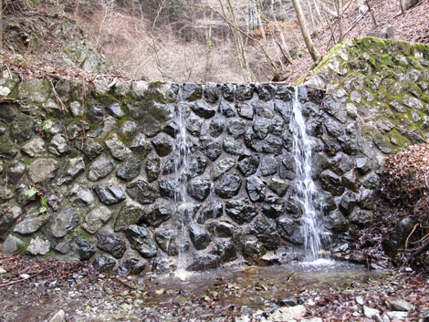 20160204hike (66)